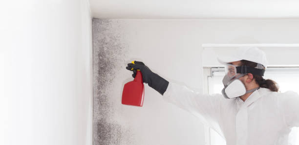 Best Residential Mold Removal  in Dunnigan, CA