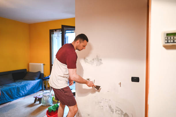 Best Certified Mold Removal  in Dunnigan, CA